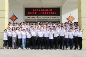 總結(jié)過去，計(jì)劃未來，協(xié)同創(chuàng)新，再創(chuàng)佳績(jī)！洛陽正大舉行2023年上半年工作總結(jié)會(huì)議